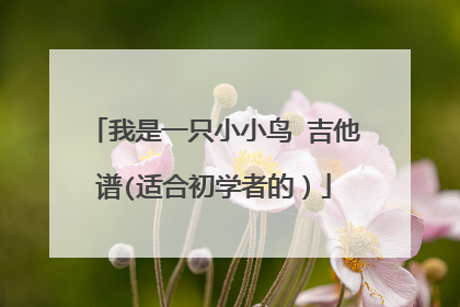 我是一只小小鸟 吉他谱(适合初学者的)