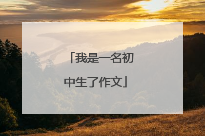 我是一名初中生了作文