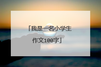 我是一名小学生作文100字