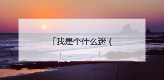 我是个什么迷（作文500字）