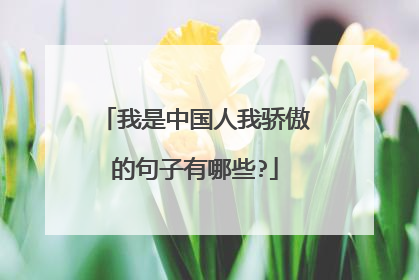 我是中国人我骄傲的句子有哪些?