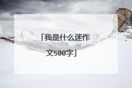 我是什么迷作文500字