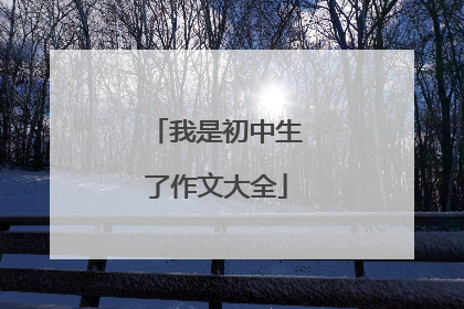 我是初中生了作文大全