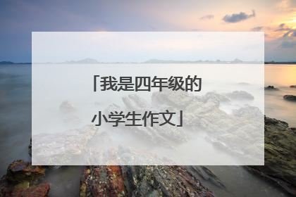 我是四年级的小学生作文