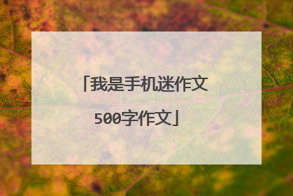 我是手机迷作文500字作文