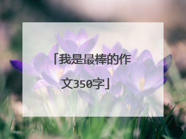 我是最棒的作文350字