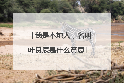 我是本地人，名叫叶良辰是什么意思