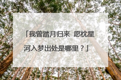 我曾踏月归来 愿枕星河入梦出处是哪里?