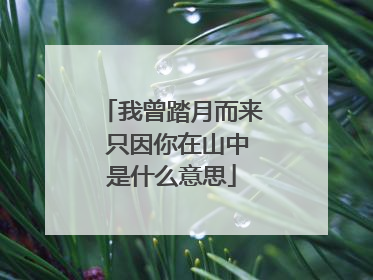 我曾踏月而来 只因你在山中是什么意思