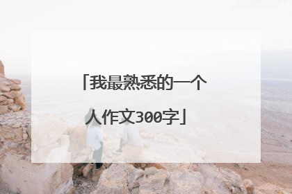我最熟悉的一个人作文300字
