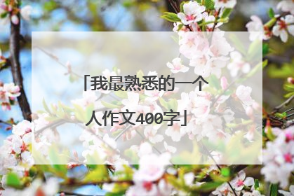我最熟悉的一个人作文400字