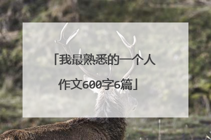 我最熟悉的一个人作文600字6篇