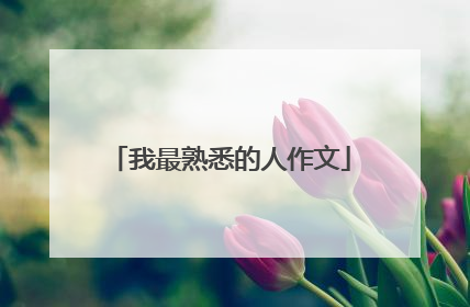 我最熟悉的人作文