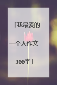 我最爱的一个人作文300字