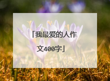 我最爱的人作文400字