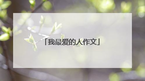 我最爱的人作文