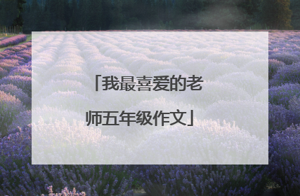 我最喜爱的老师五年级作文