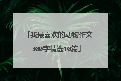 我最喜欢的动物作文300字精选10篇