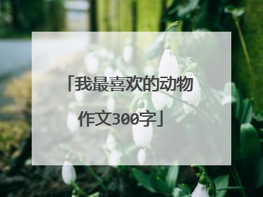 我最喜欢的动物作文300字