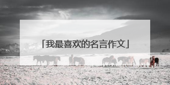 我最喜欢的名言作文