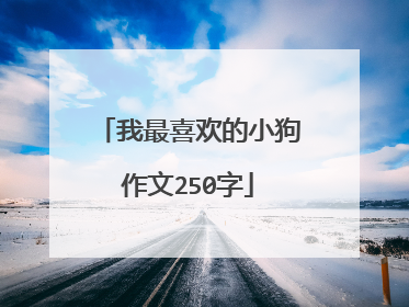 我最喜欢的小狗作文250字