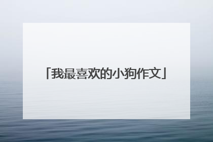 我最喜欢的小狗作文