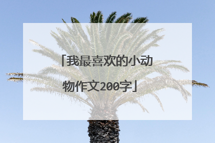 我最喜欢的小动物作文200字