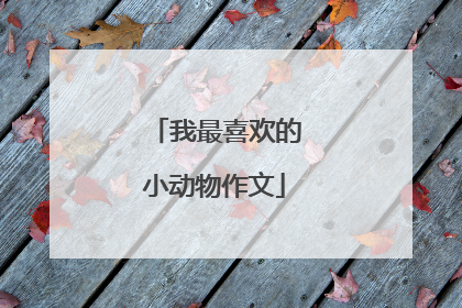 我最喜欢的小动物作文