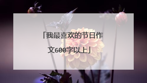 我最喜欢的节日作文600字以上