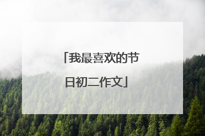 我最喜欢的节日初二作文