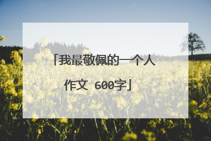 我最敬佩的一个人作文 600字