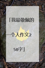 我最敬佩的一个人作文250字