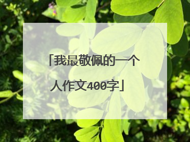 我最敬佩的一个人作文400字