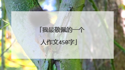 我最敬佩的一个人作文450字