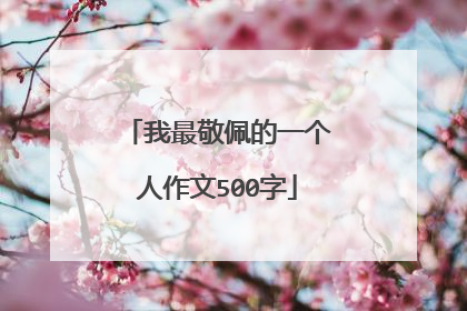 我最敬佩的一个人作文500字