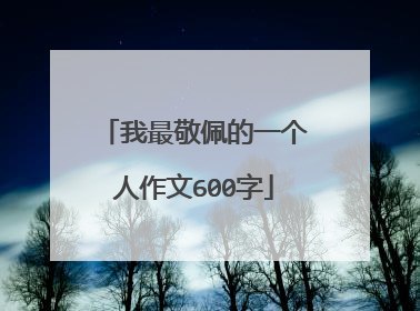我最敬佩的一个人作文600字