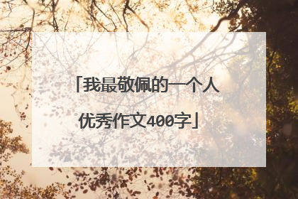 我最敬佩的一个人优秀作文400字
