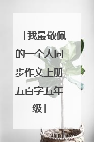 我最敬佩的一个人同步作文上册五百字五年级