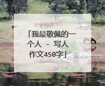 我最敬佩的一个人 - 写人作文450字