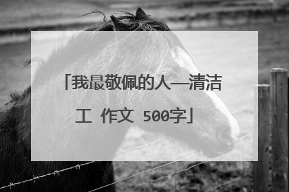 我最敬佩的人——清洁工 作文 500字
