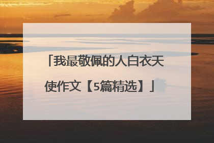 我最敬佩的人白衣天使作文【5篇精选】
