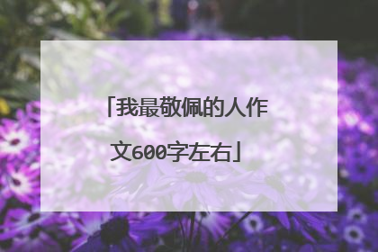 我最敬佩的人作文600字左右
