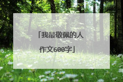 我最敬佩的人作文600字