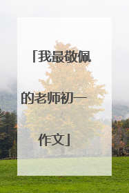 我最敬佩的老师初一作文