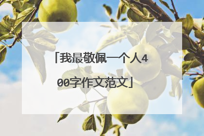 我最敬佩一个人400字作文范文
