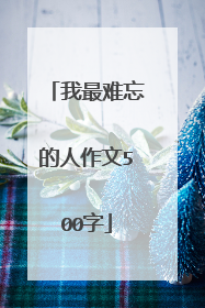 我最难忘的人作文500字