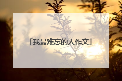 我最难忘的人作文