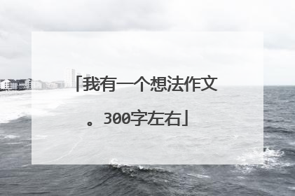 我有一个想法作文。300字左右
