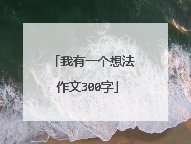 我有一个想法作文300字