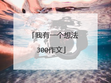 我有一个想法300作文